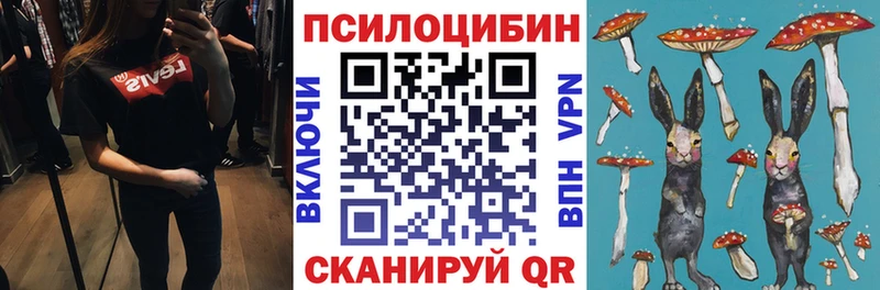 Галлюциногенные грибы Psilocybine cubensis  Железногорск 